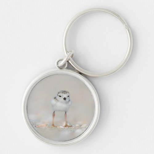 Cutest Baby Animals  Piping Plover Chick Keychain