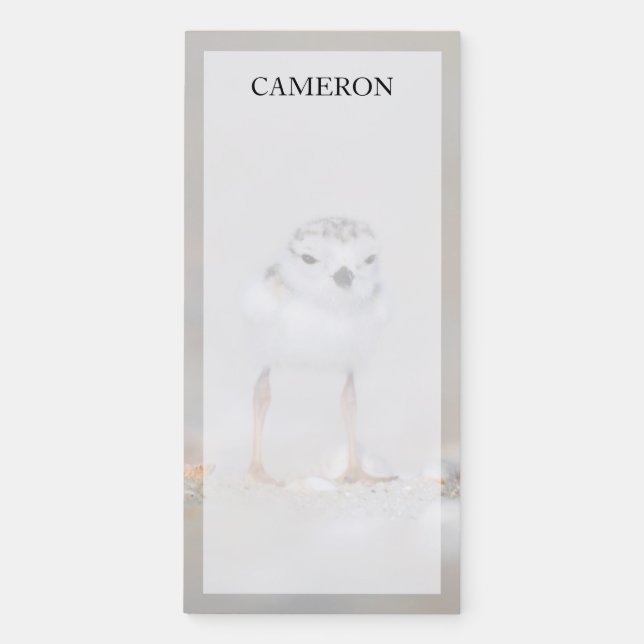 Cutest Baby Animals | Piping Plover Chick Magnetic Notepad (Front)