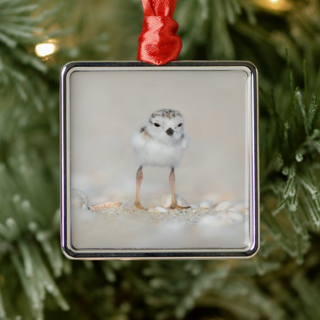 Cutest Baby Animals | Piping Plover Chick Metal Ornament (Tree)