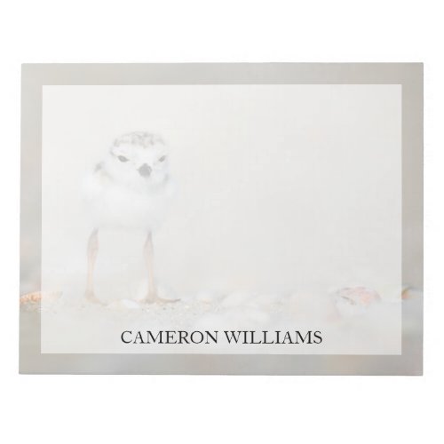 Cutest Baby Animals  Piping Plover Chick Notepad