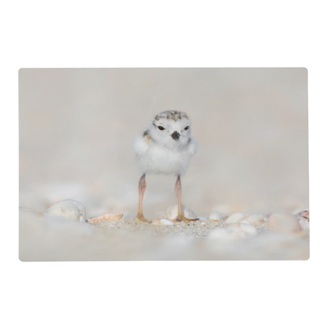 Cutest Baby Animals | Piping Plover Chick Placemat (Front)