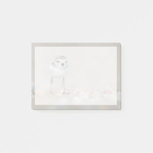 Cutest Baby Animals Piping Plover Chick Post-it Notes