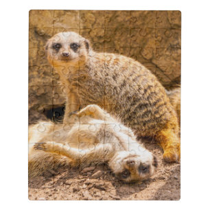 Cutest Baby Animals Playful Meerkats Jigsaw Puzzle