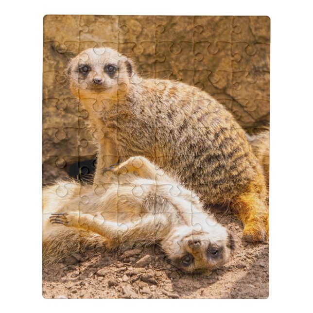 Cutest Baby Animals | Playful Meerkats Jigsaw Puzzle (Puzzle Vertical)