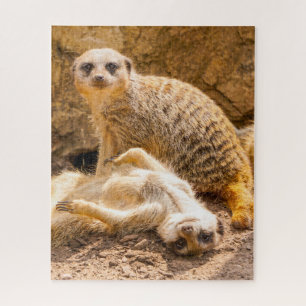 Cutest Baby Animals Playful Meerkats Jigsaw Puzzle