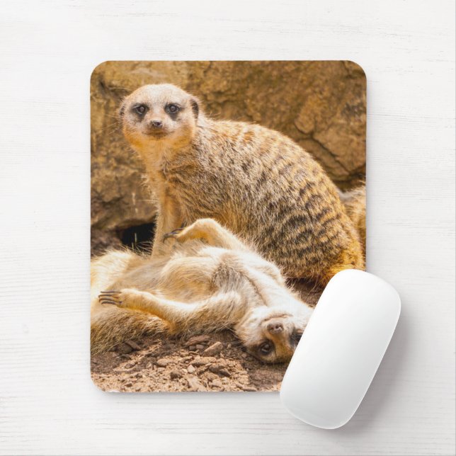 Cutest Baby Animals | Playful Meerkats Mouse Pad (With Mouse)