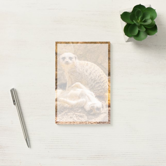 Cutest Baby Animals | Playful Meerkats Post-it Notes (Office)