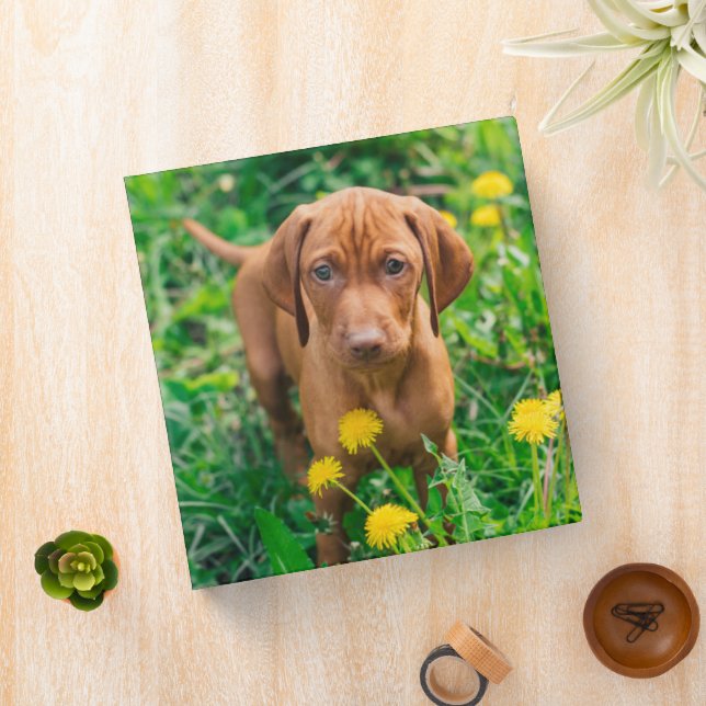 Cutest Baby Animals | Pointer Puppy 3 Ring Binder (In Situ)
