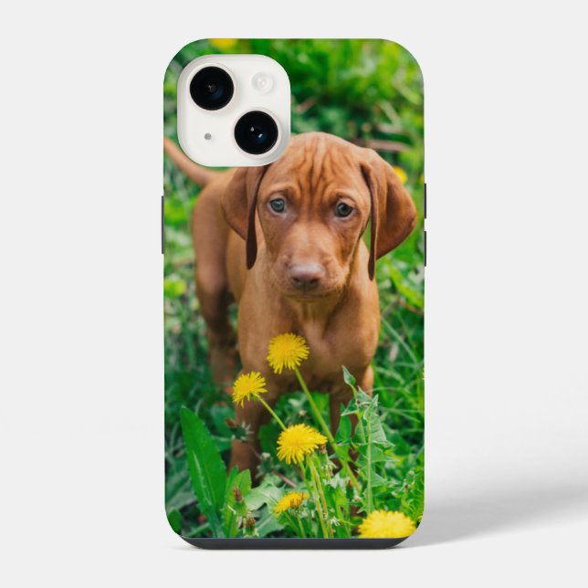 Cutest Baby Animals | Pointer Puppy Iphone Case (Back)