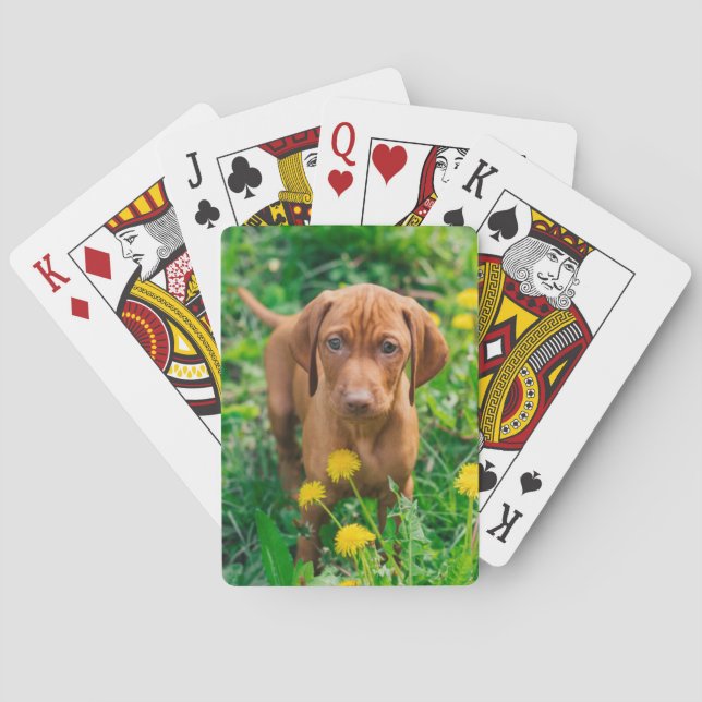 Cutest Baby Animals | Pointer Puppy Poker Cards (Back)