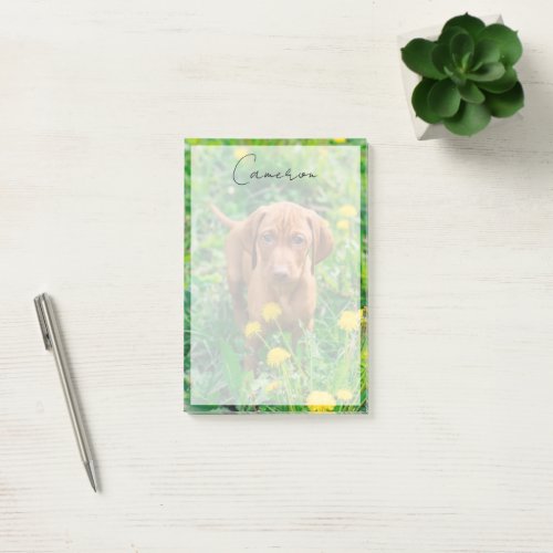 Cutest Baby Animals  Pointer Puppy Post_it Notes