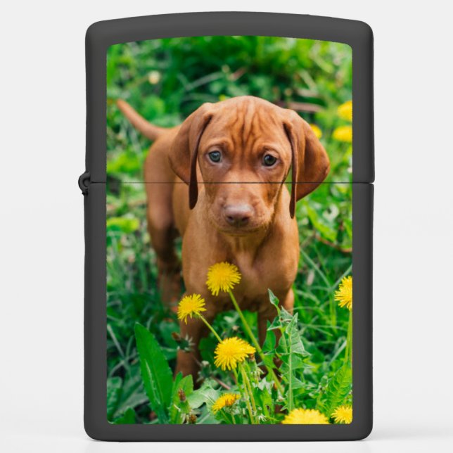 Cutest Baby Animals | Pointer Puppy Zippo Lighter (Front)