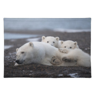 Cutest Baby Animals Polar Bear Family Alaska Cloth Placemat
