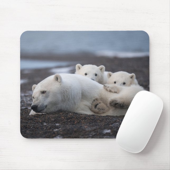 Cutest Baby Animals | Polar Bear Family Alaska Mouse Pad (With Mouse)
