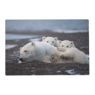 Cutest Baby Animals Polar Bear Family Alaska Placemat