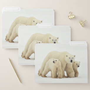 Cutest Baby Animals Polar Bear Family File Folder