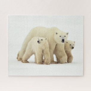 Cutest Baby Animals Polar Bear Family Jigsaw Puzzle