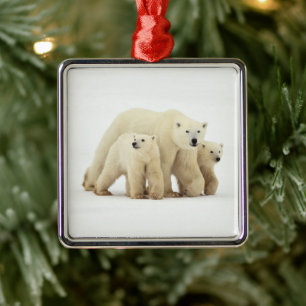 Cutest Baby Animals   Polar Bear Family Metal Ornament