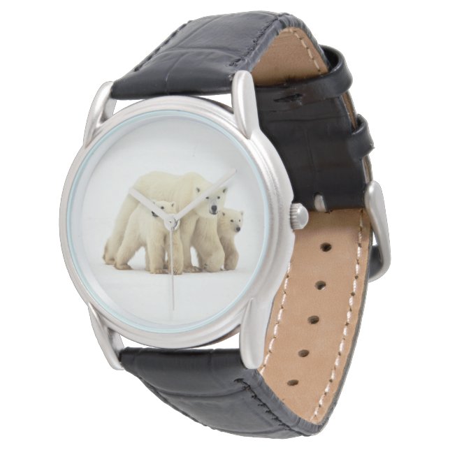 Cutest Baby Animals | Polar Bear Family Watch (Angled)