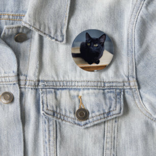 Cutest Baby Animals   Portrait of a Black Cat Button
