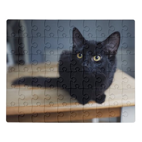 Cutest Baby Animals  Portrait of a Black Cat Jigsaw Puzzle