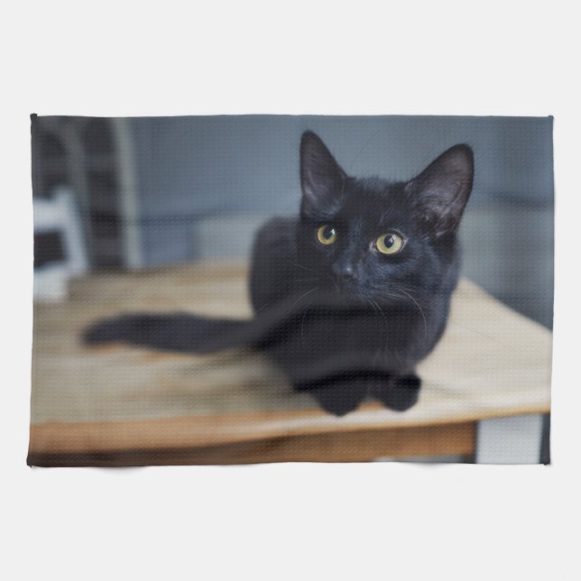 Cutest Baby Animals | Portrait of a Black Cat Kitchen Towel (Horizontal)