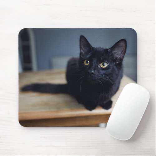 Cutest Baby Animals  Portrait of a Black Cat Mouse Pad