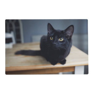 Cutest Baby Animals Portrait of a Black Cat Placemat