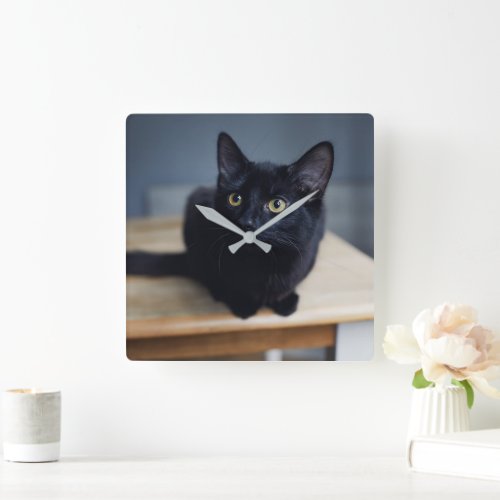 Cutest Baby Animals  Portrait of a Black Cat Square Wall Clock