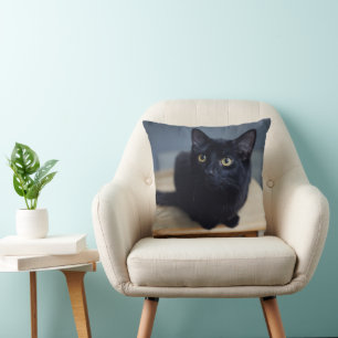 Cutest Baby Animals Portrait of a Black Cat Throw Pillow