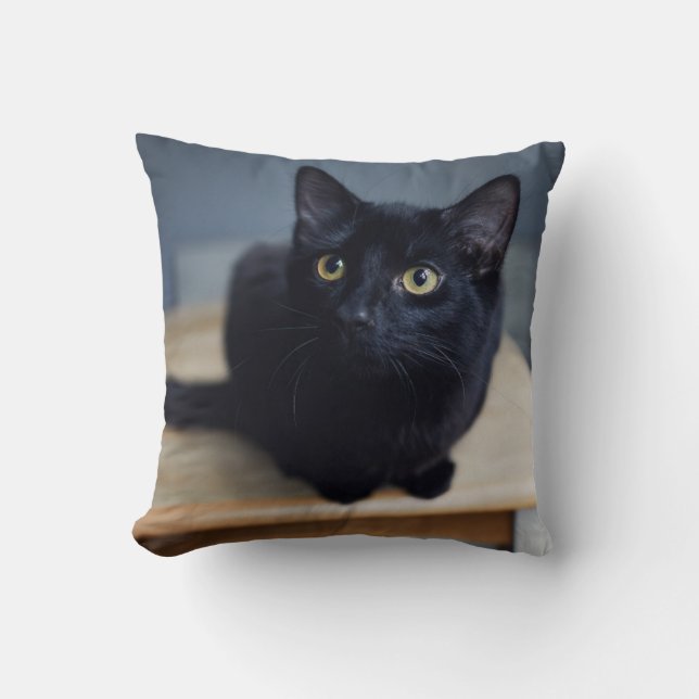 Cutest Baby Animals | Portrait of a Black Cat Throw Pillow (Front)