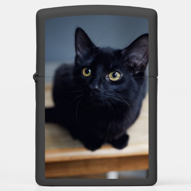 Cutest Baby Animals | Portrait of a Black Cat Zippo Lighter (Front)