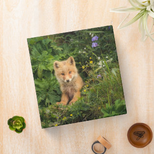 Cutest Baby Animals Red Fox at Umnak Alaska 3 Ring Binder