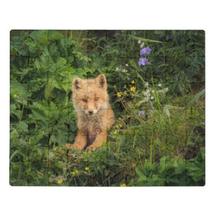 Cutest Baby Animals Red Fox at Umnak Alaska Jigsaw Puzzle