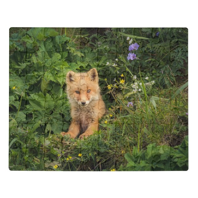 Cutest Baby Animals | Red Fox at Umnak Alaska Jigsaw Puzzle (Puzzle Horizontal)