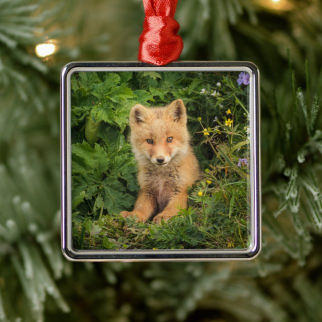 Cutest Baby Animals | Red Fox at Umnak Alaska Metal Ornament (Tree)