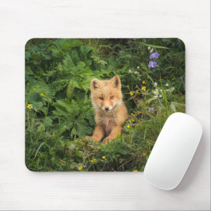Cutest Baby Animals Red Fox at Umnak Alaska Mouse Pad