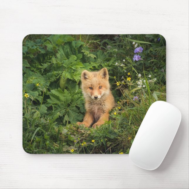 Cutest Baby Animals | Red Fox at Umnak Alaska Mouse Pad (With Mouse)