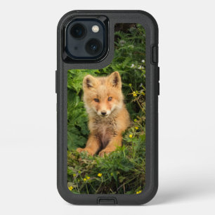 Cutest Baby Animals   Red Fox at Umnak Alaska iPhone 13 Case