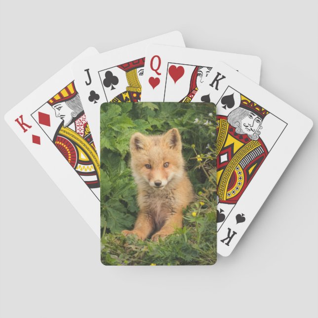 Cutest Baby Animals | Red Fox at Umnak Alaska Poker Cards (Back)