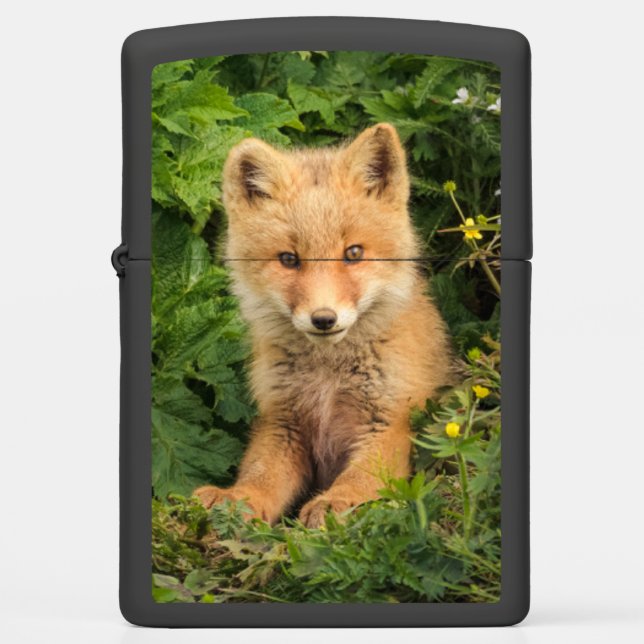 Cutest Baby Animals | Red Fox at Umnak Alaska Zippo Lighter (Front)