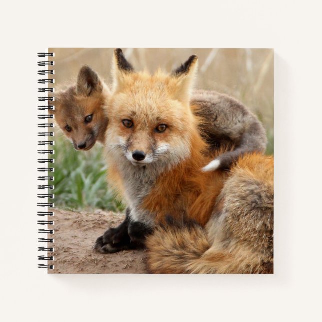 Cutest Baby Animals | Red Fox & Baby Notebook (Front)