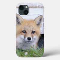 Cutest Baby Animals | Red Fox Kit Peeking iPhone 13 Case