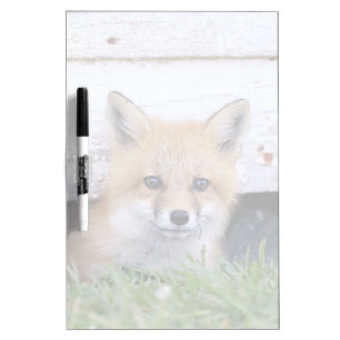 Cutest Baby Animals Red Fox Kit Peeking Dry Erase Board