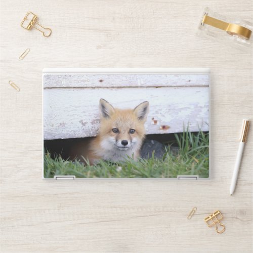 Cutest Baby Animals  Red Fox Kit Peeking HP Laptop Skin