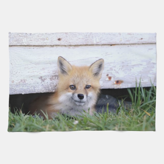 Cutest Baby Animals | Red Fox Kit Peeking Kitchen Towel (Horizontal)