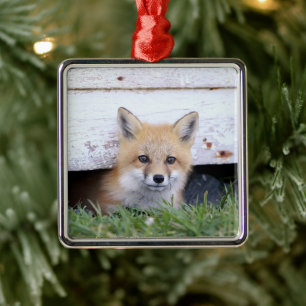 Cutest Baby Animals Red Fox Kit Peeking Metal Ornament