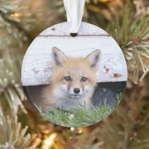 Cutest Baby Animals Red Fox Kit Peeking Ornament