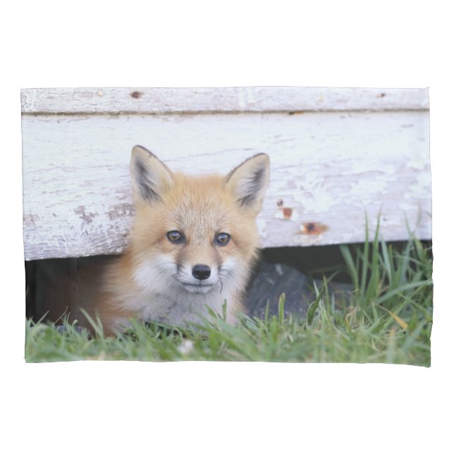 Cutest Baby Animals | Red Fox Kit Peeking Pillow Case (Front)
