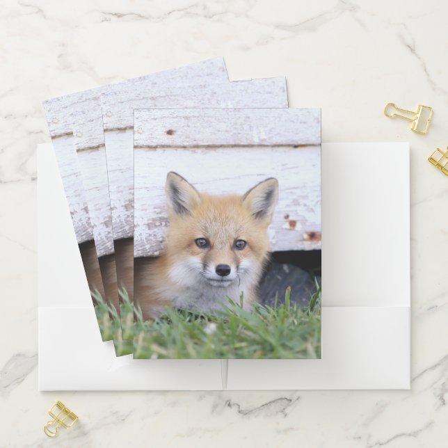 Cutest Baby Animals | Red Fox Kit Peeking Pocket Folder (In Situ)
